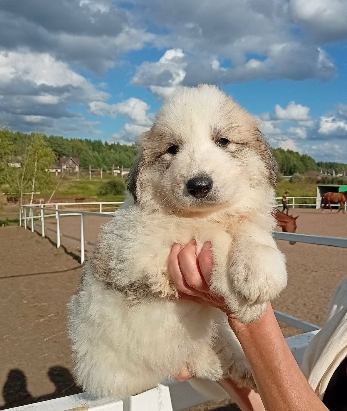 Мальчик1&nbsp;